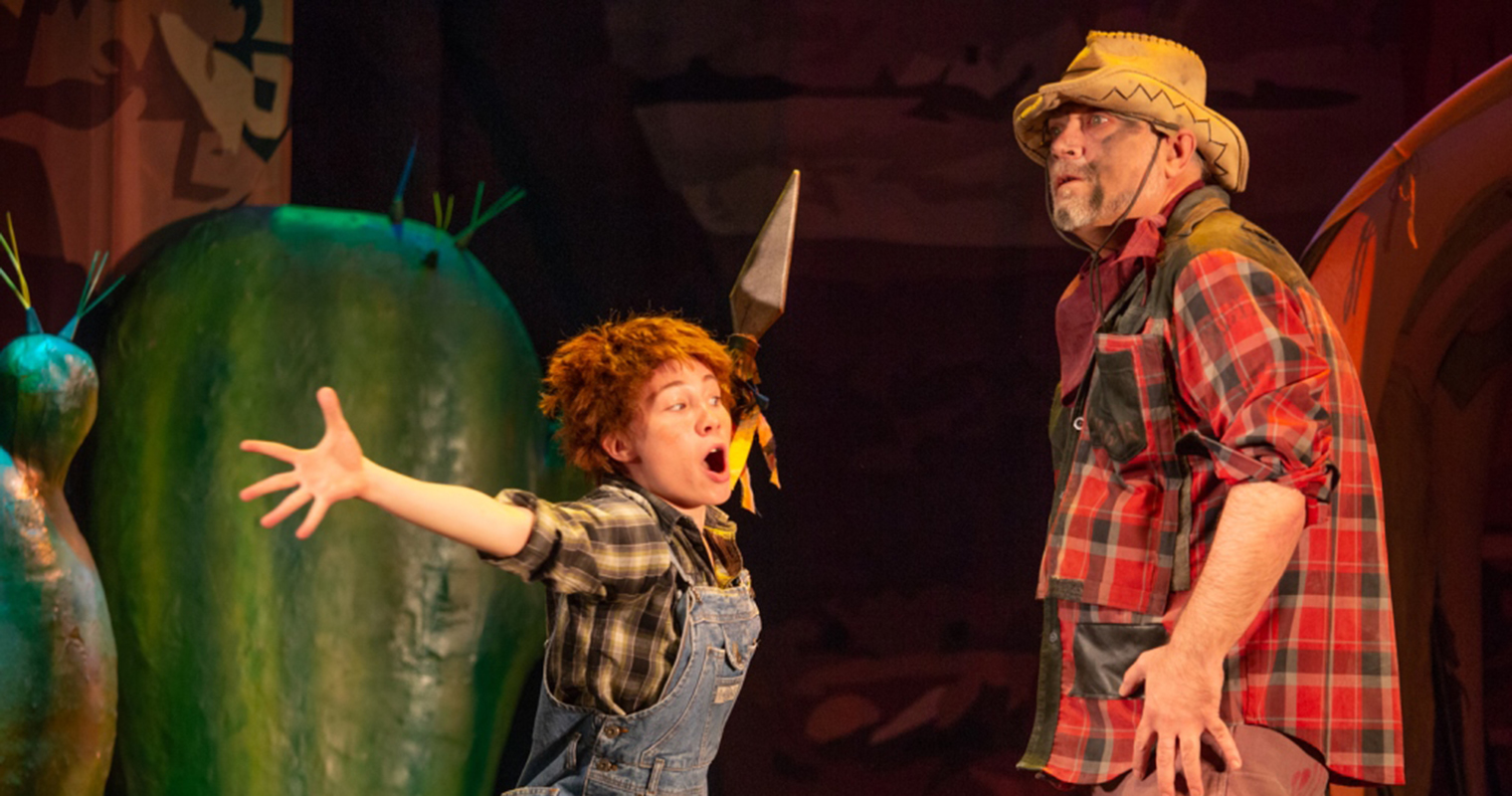 Вождь краснокожих