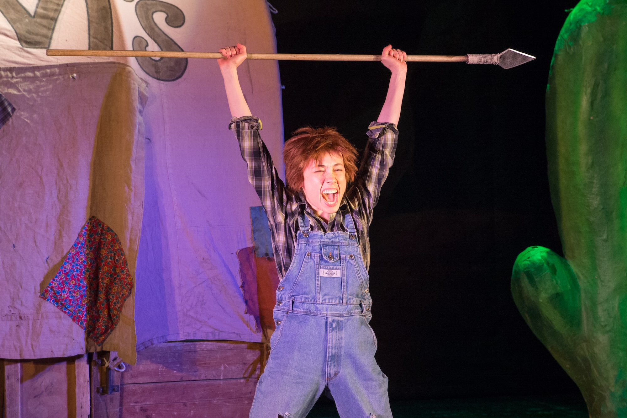 Вождь краснокожих